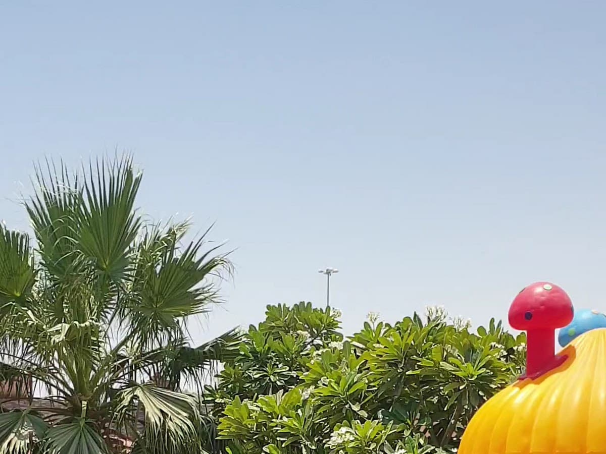 بيروت Resort — photo 1