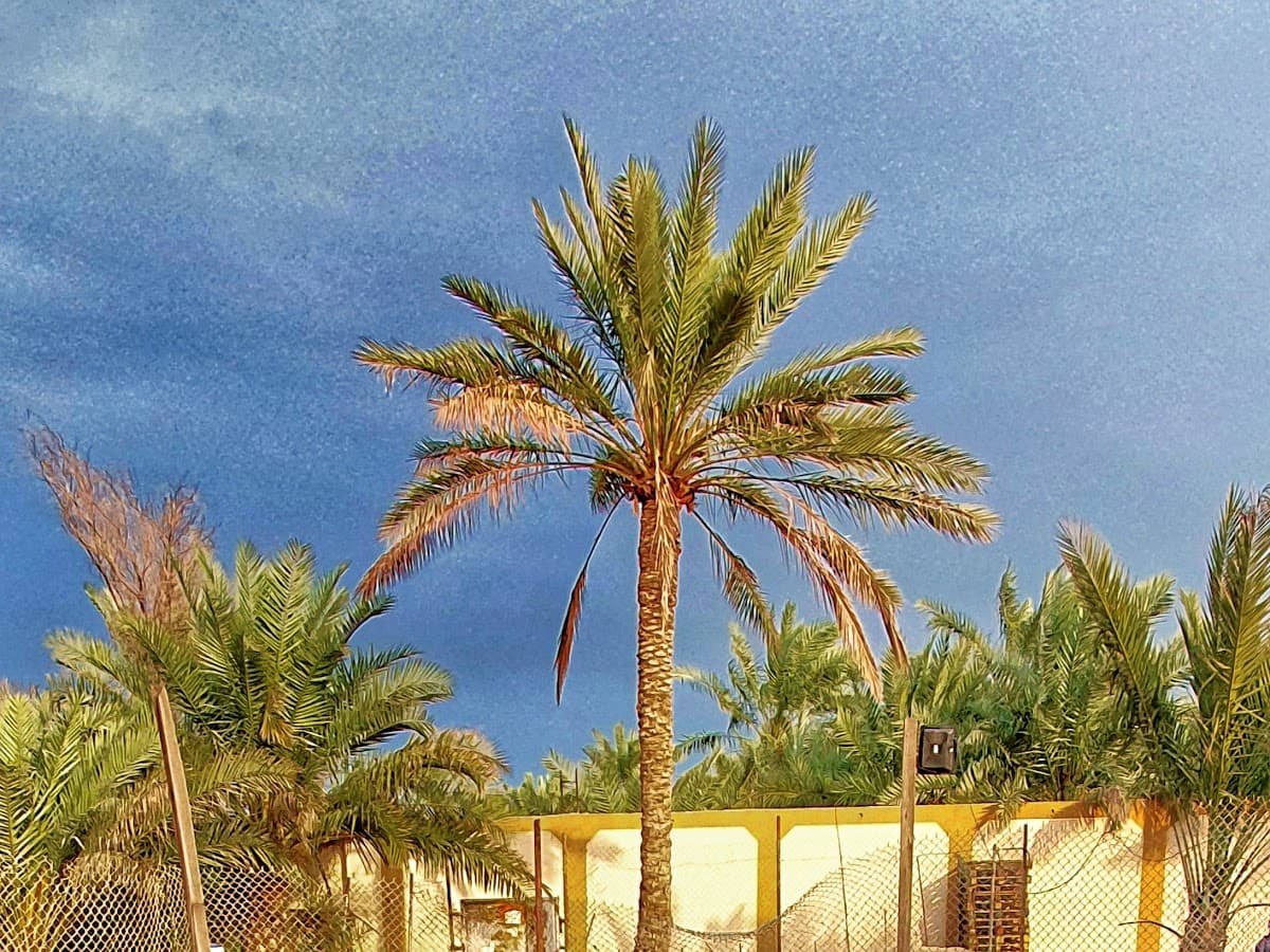 Green Valley Resort Resort — 1 / 7