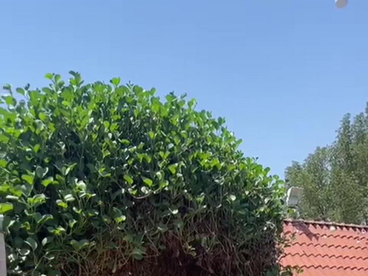 منتجع حدائق باس — 1 / 7