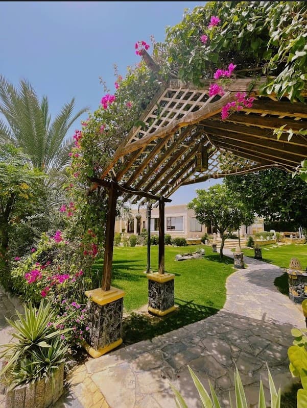 منتجع زيلامسي — photo 1